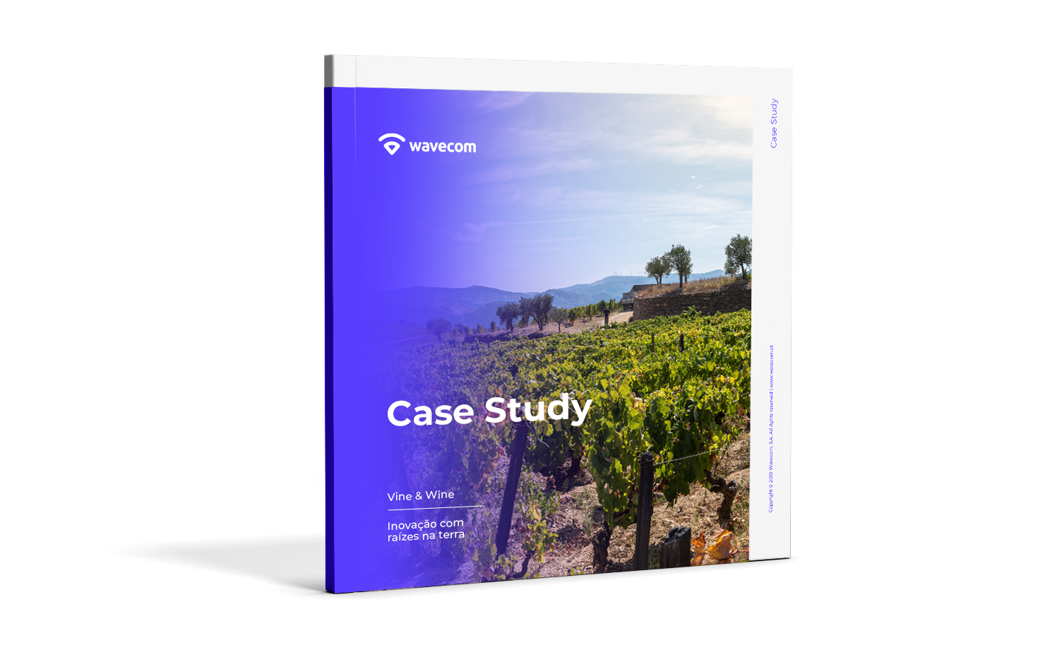 Capa do Case Study Vine&Wine